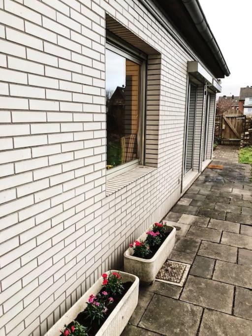 Charmante Gartenwohnung Mit Privatem Grossen Garten Köln Dış mekan fotoğraf