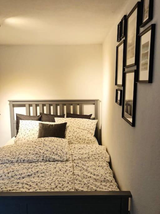 Charmante Gartenwohnung Mit Privatem Grossen Garten Köln Dış mekan fotoğraf